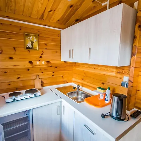 Bursztyn Apartment *